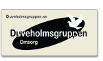 Duveholmsgruppen AB