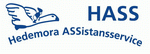 Hedemora Assistansservice Ekonomisk Fören